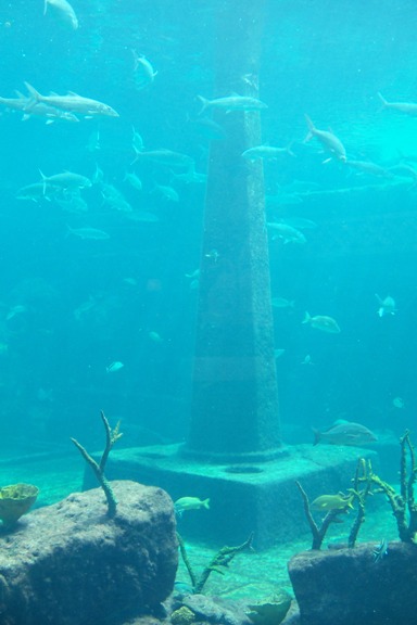 Atlantis The Dig