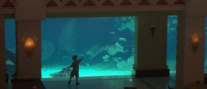 Atlantis The Dig Atlantis The Dig